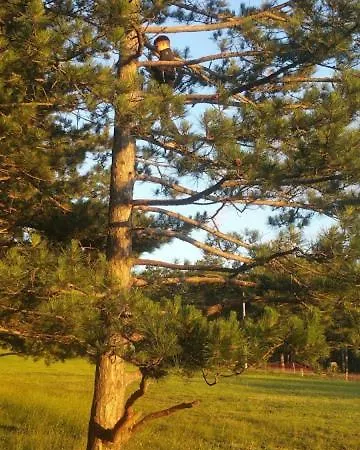 Borova Premia Lux * Zlatibor