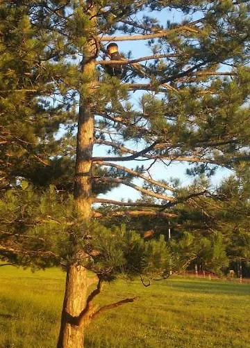 Borova Premia Lux * Ζλάτιμπορ